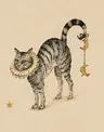 Profile picture of Plans & Opinions