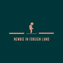 NEWBIE IN FOREIGN LAND
